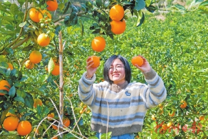 “甜蜜产业”这样破局突围